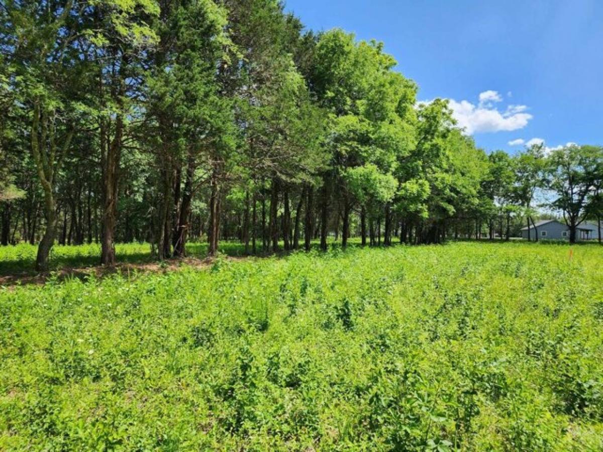 Picture of Residential Land For Sale in Lebanon, Tennessee, United States