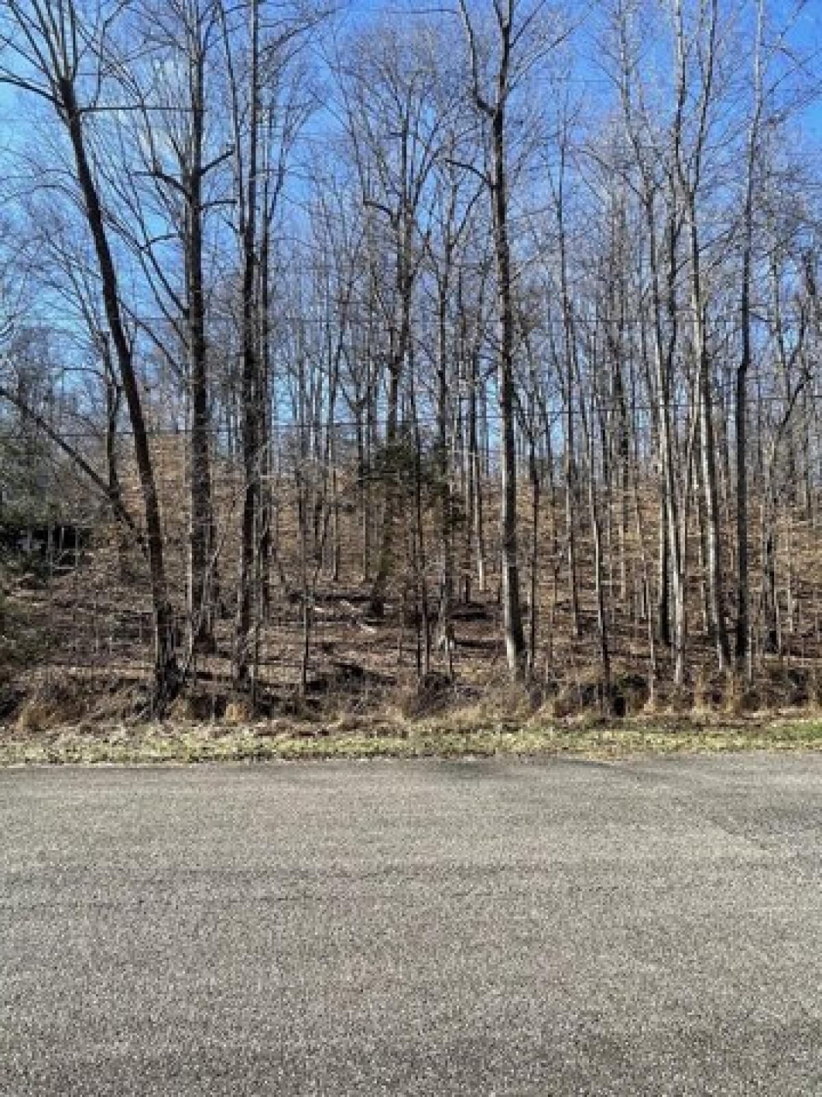 Picture of Residential Land For Sale in Dickson, Tennessee, United States