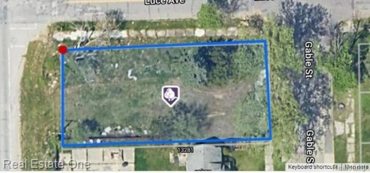 Picture of Residential Land For Sale in Hamtramck, Michigan, United States