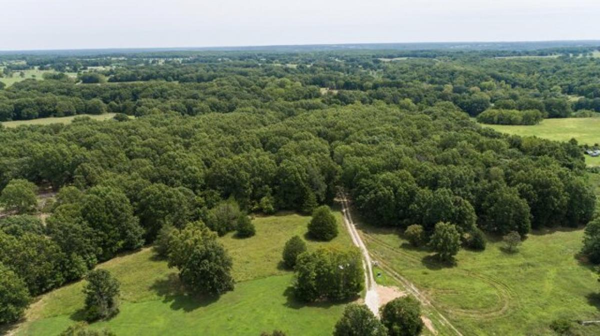 Picture of Residential Land For Sale in Rogersville, Missouri, United States