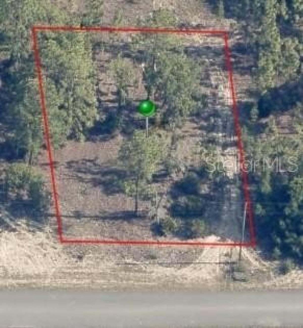 Picture of Residential Land For Sale in Citrus Springs, Florida, United States