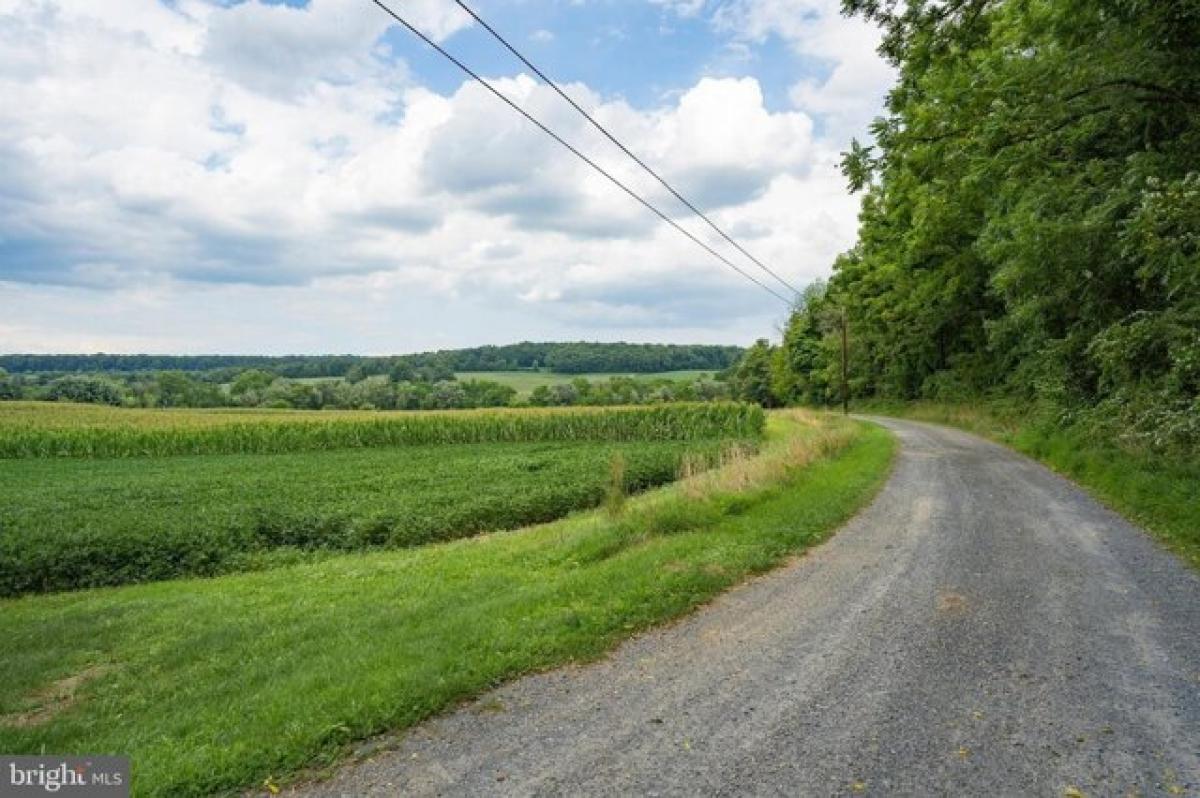 Picture of Residential Land For Sale in Hamburg, Pennsylvania, United States