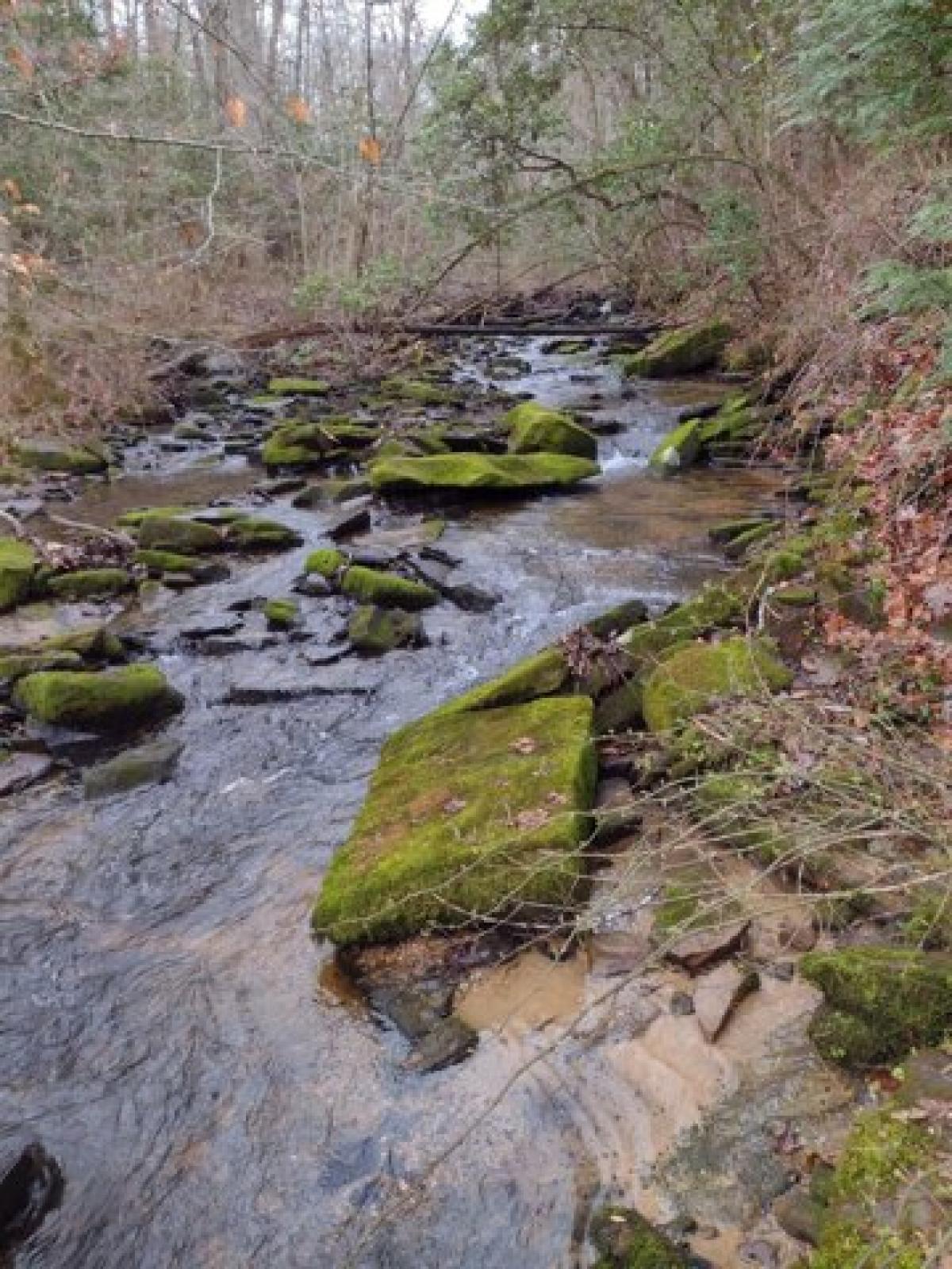 Picture of Residential Land For Sale in Altamont, Tennessee, United States