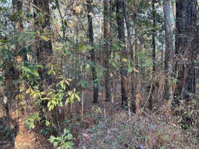 Residential Land For Sale in Shepherd, Texas