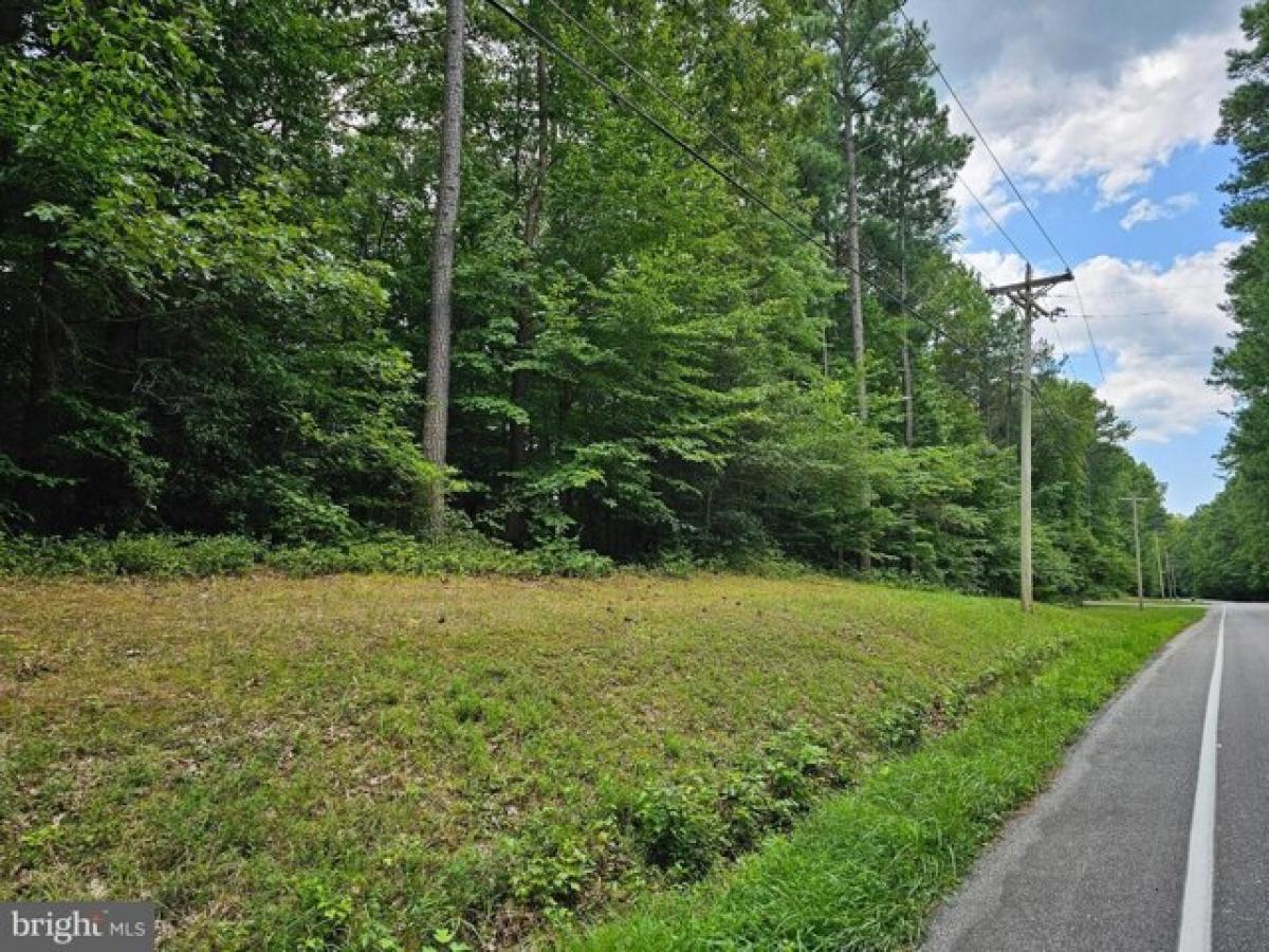 Picture of Residential Land For Sale in Hollywood, Maryland, United States