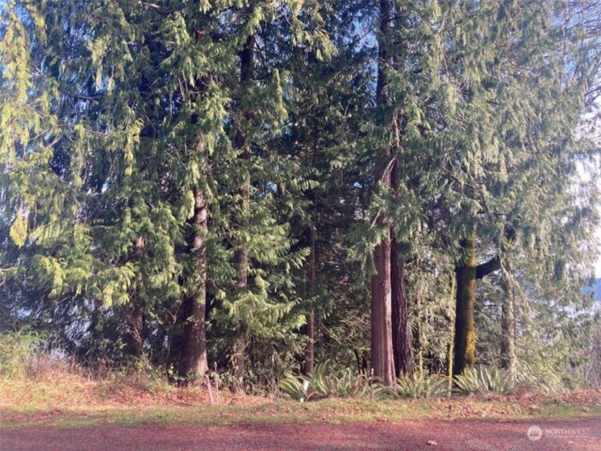 Picture of Residential Land For Sale in Brinnon, Washington, United States