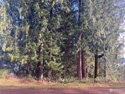 Residential Land For Sale in Brinnon, Washington