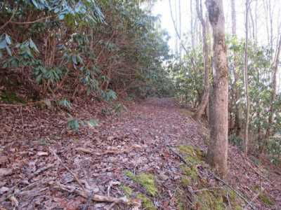 Residential Land For Sale in Gatlinburg, Tennessee