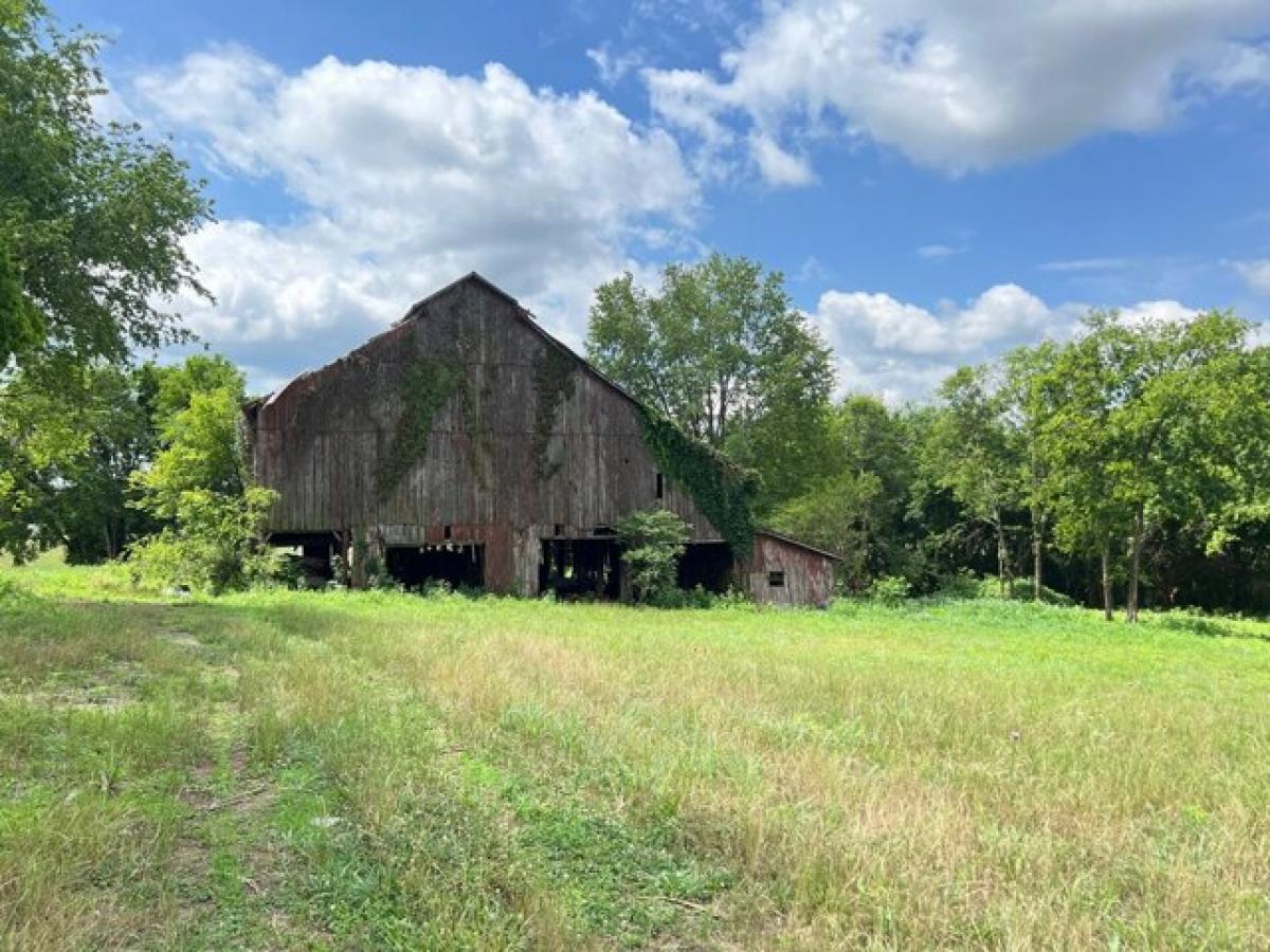 Picture of Residential Land For Sale in Castalian Springs, Tennessee, United States