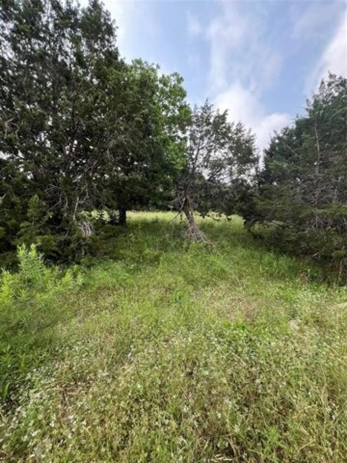 Picture of Home For Sale in Dripping Springs, Texas, United States