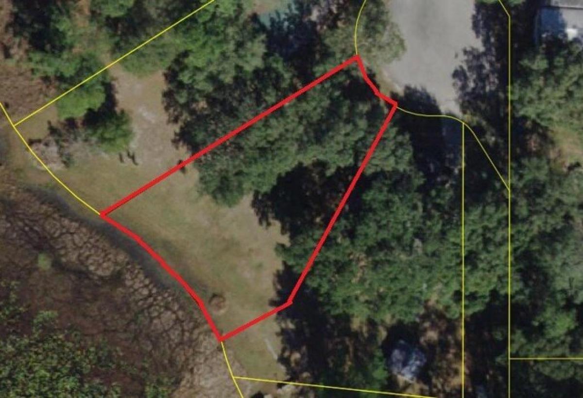 Picture of Residential Land For Sale in Silver Springs, Florida, United States