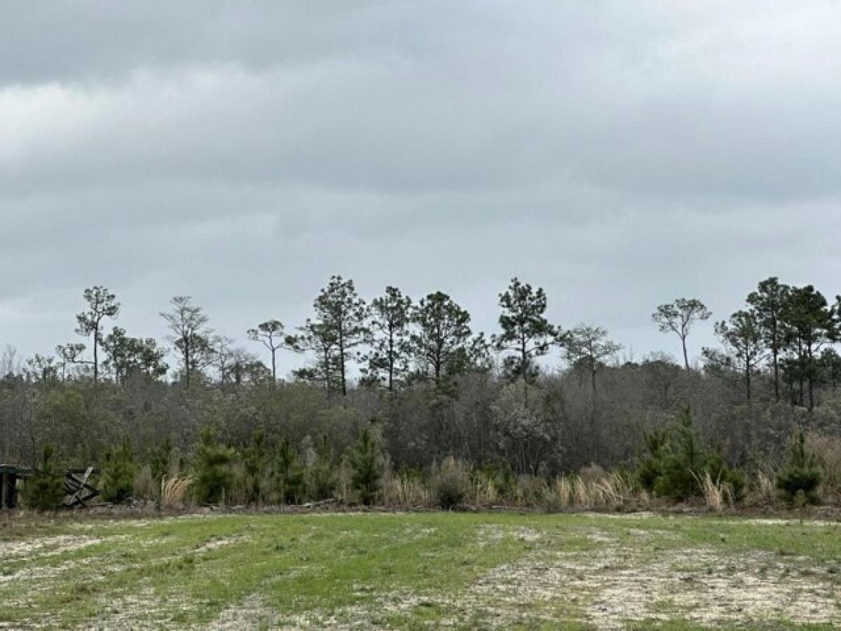 Picture of Residential Land For Sale in Bonifay, Florida, United States