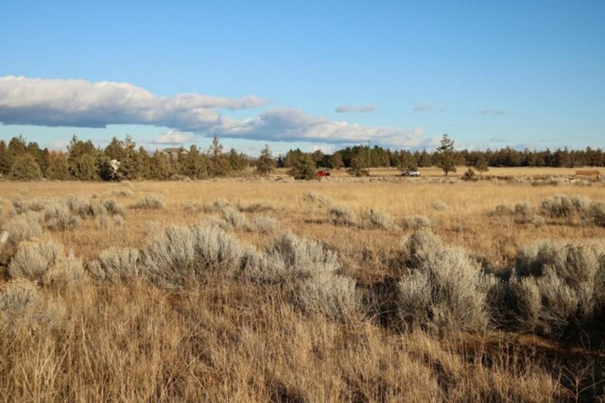 Picture of Residential Land For Sale in Bend, Oregon, United States