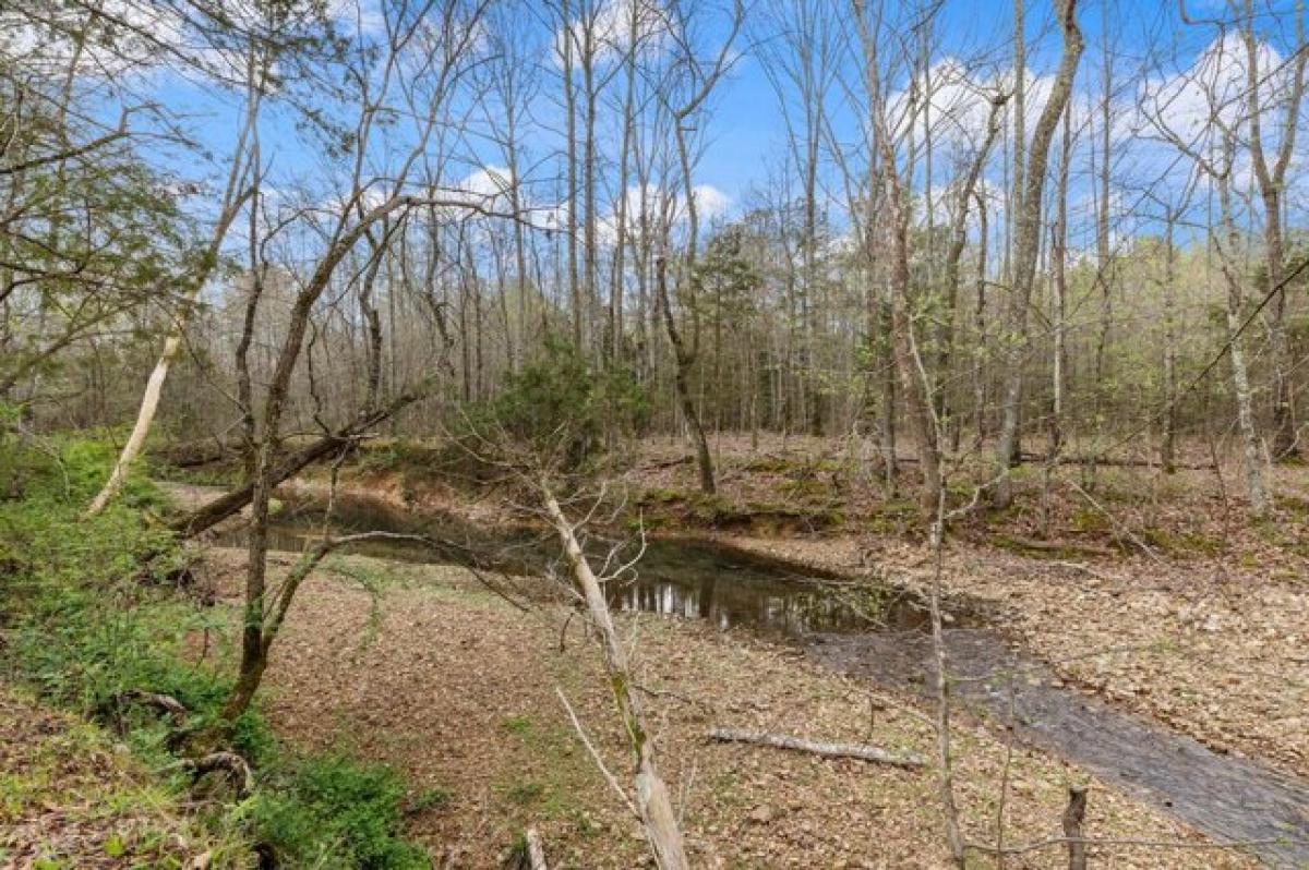 Picture of Residential Land For Sale in Mcewen, Tennessee, United States