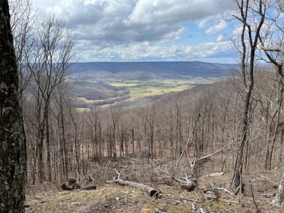 Picture of Residential Land For Sale in Altamont, Tennessee, United States