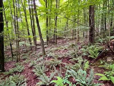 Residential Land For Sale in Phoenicia, New York