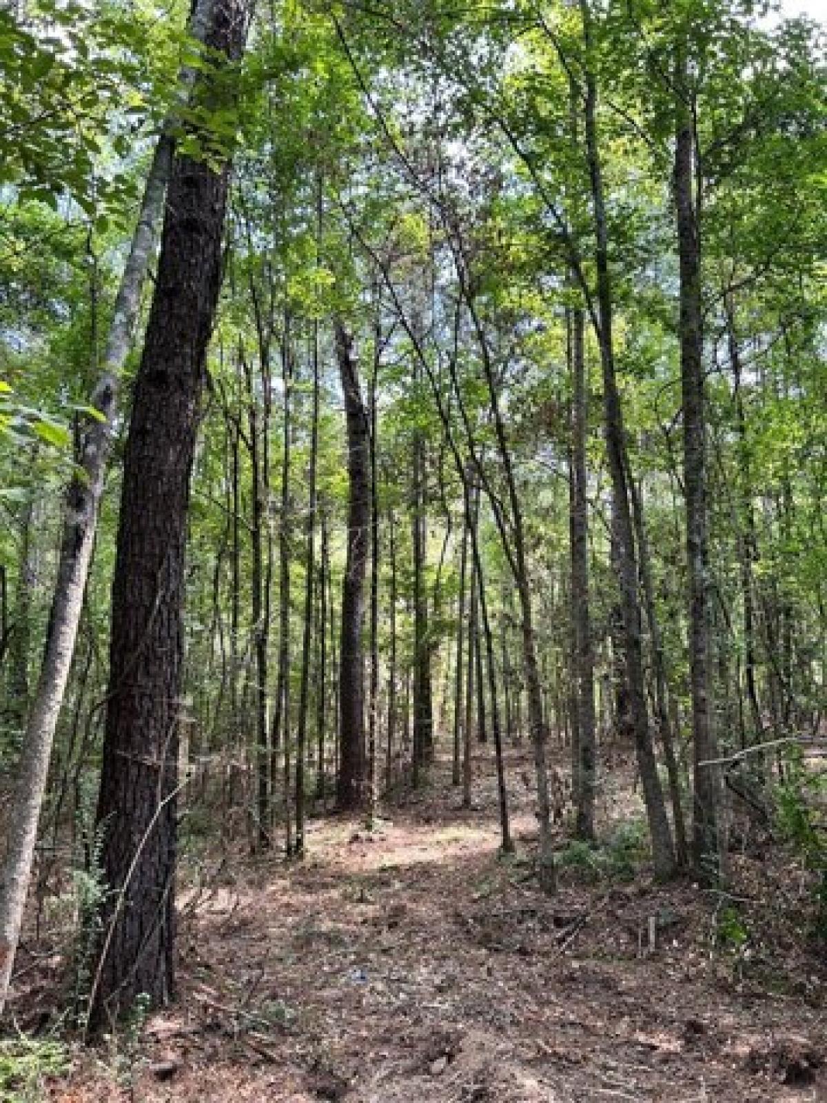 Picture of Residential Land For Sale in Summit, Mississippi, United States