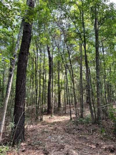 Residential Land For Sale in Summit, Mississippi