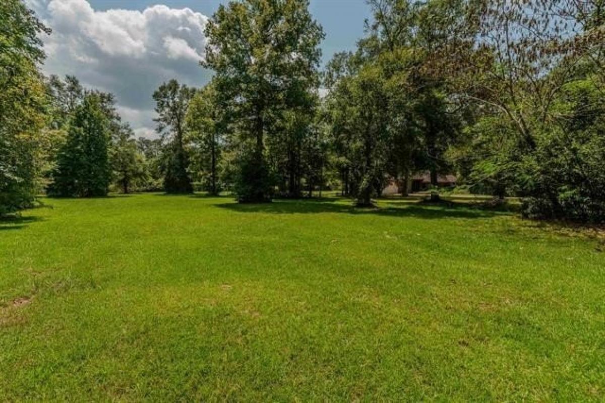 Picture of Residential Land For Sale in Silsbee, Texas, United States