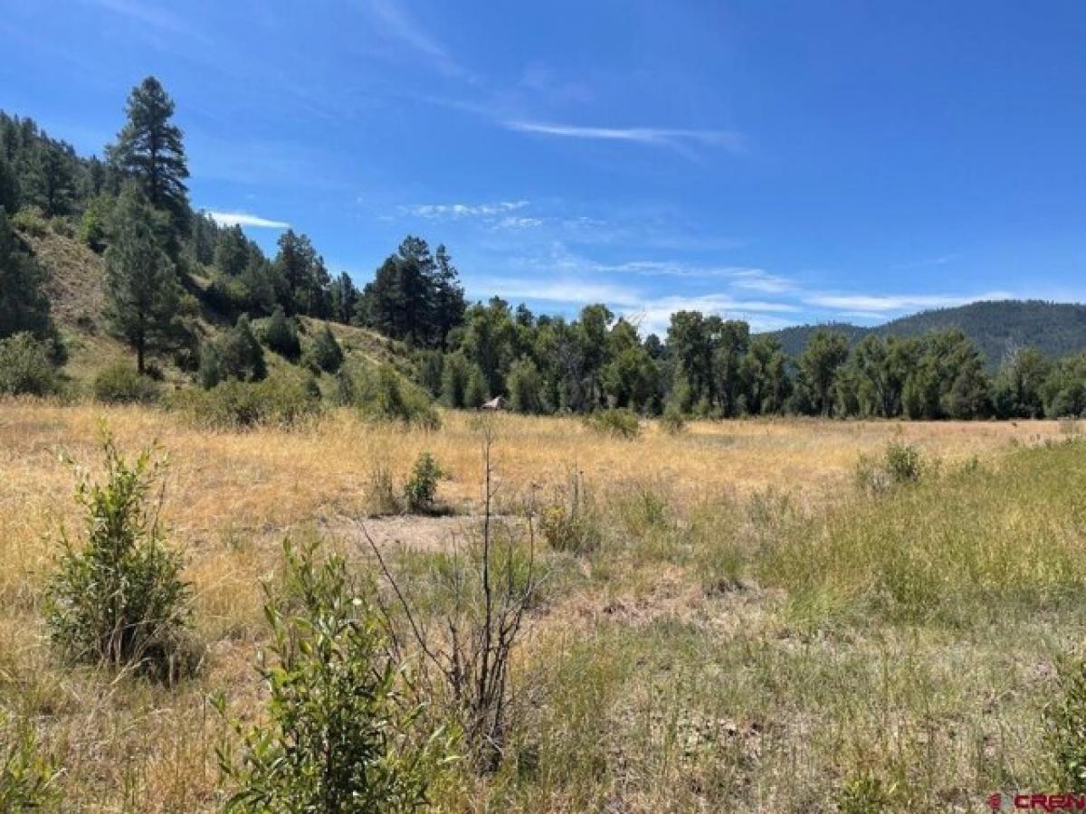 Picture of Residential Land For Sale in Pagosa Springs, Colorado, United States