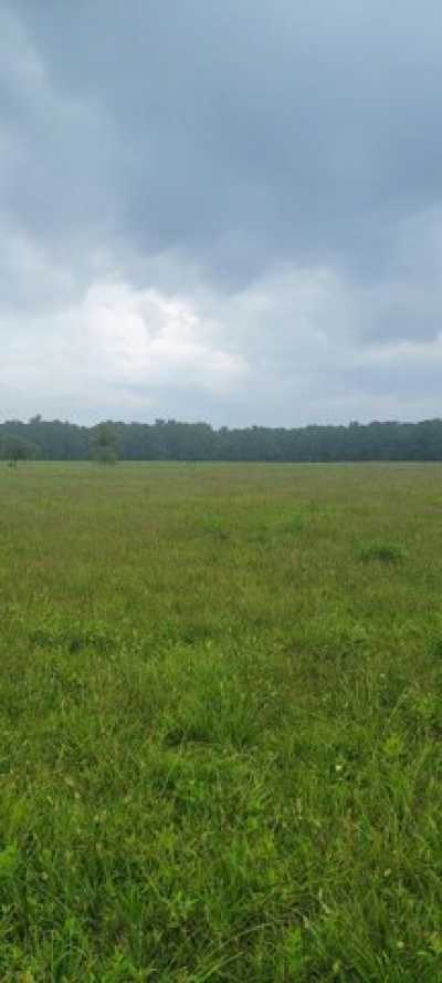 Residential Land For Sale in 