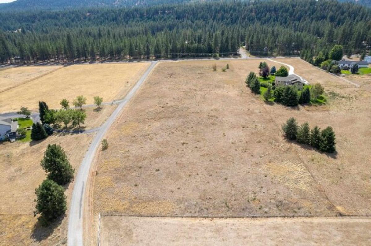 Picture of Residential Land For Sale in Nine Mile Falls, Washington, United States