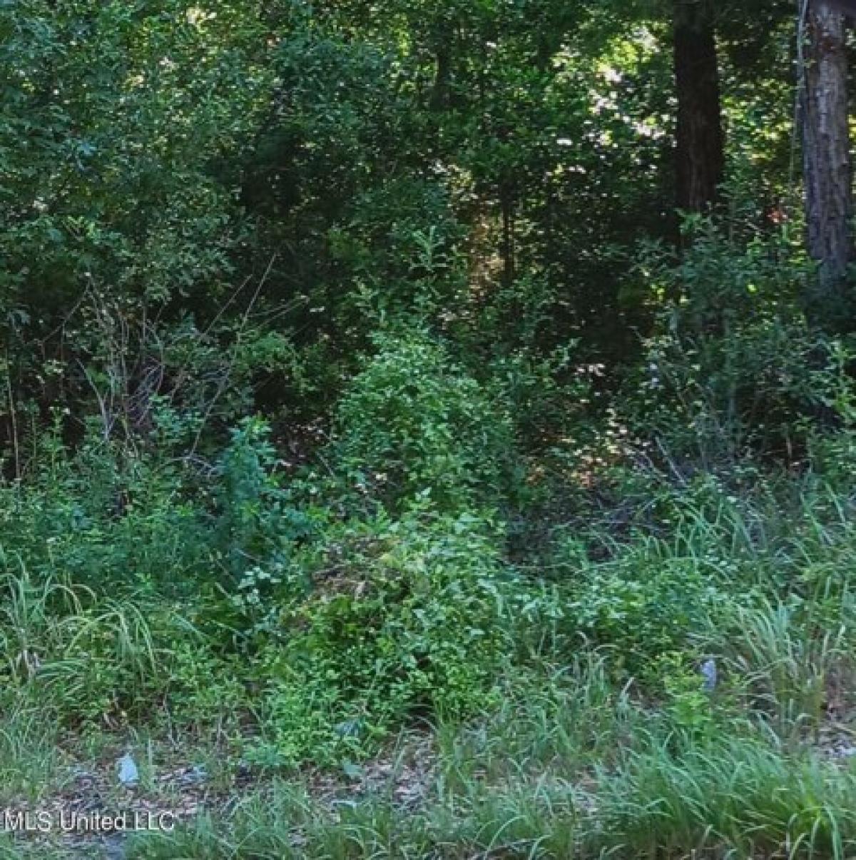 Picture of Residential Land For Rent in Moss Point, Mississippi, United States