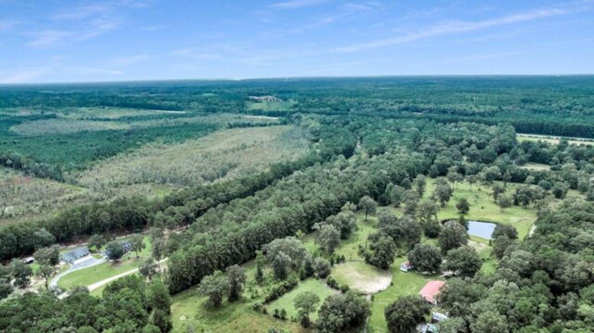 Picture of Residential Land For Sale in Adams Run, South Carolina, United States