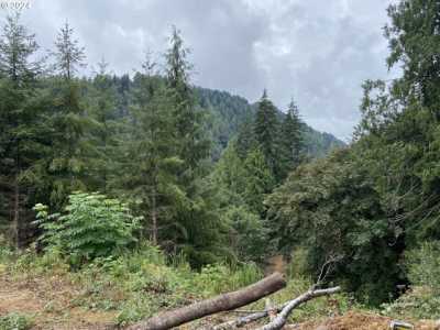 Residential Land For Sale in Florence, Oregon