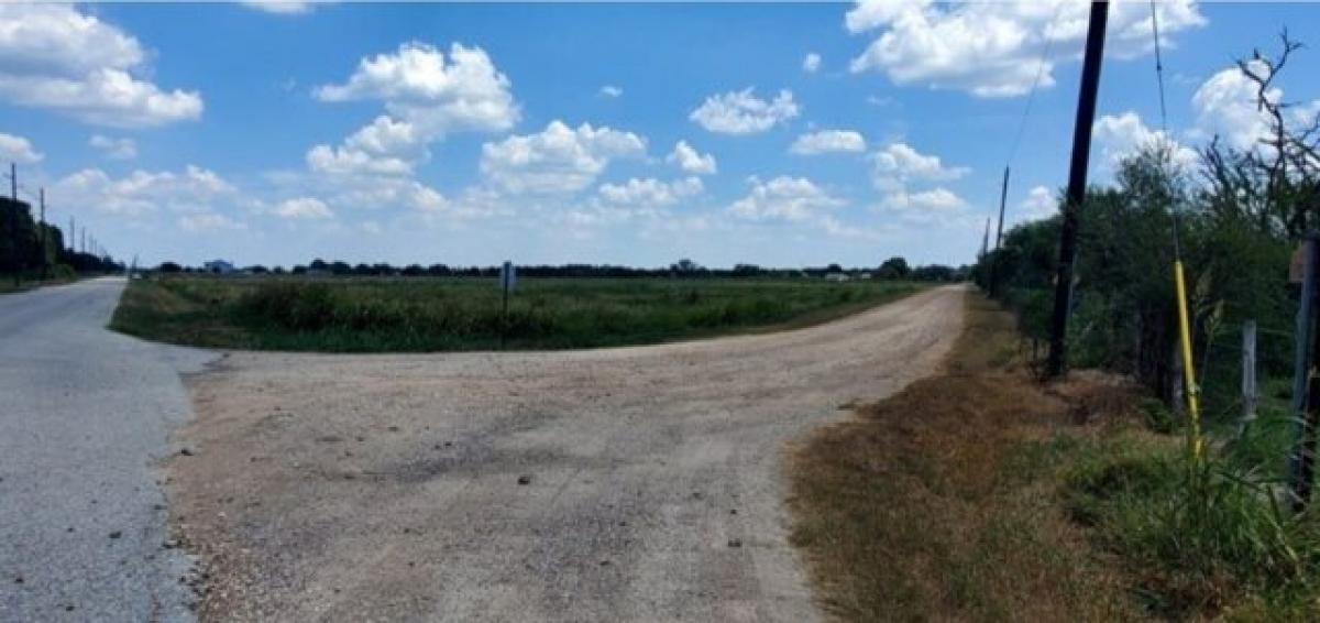 Picture of Residential Land For Sale in Sealy, Texas, United States