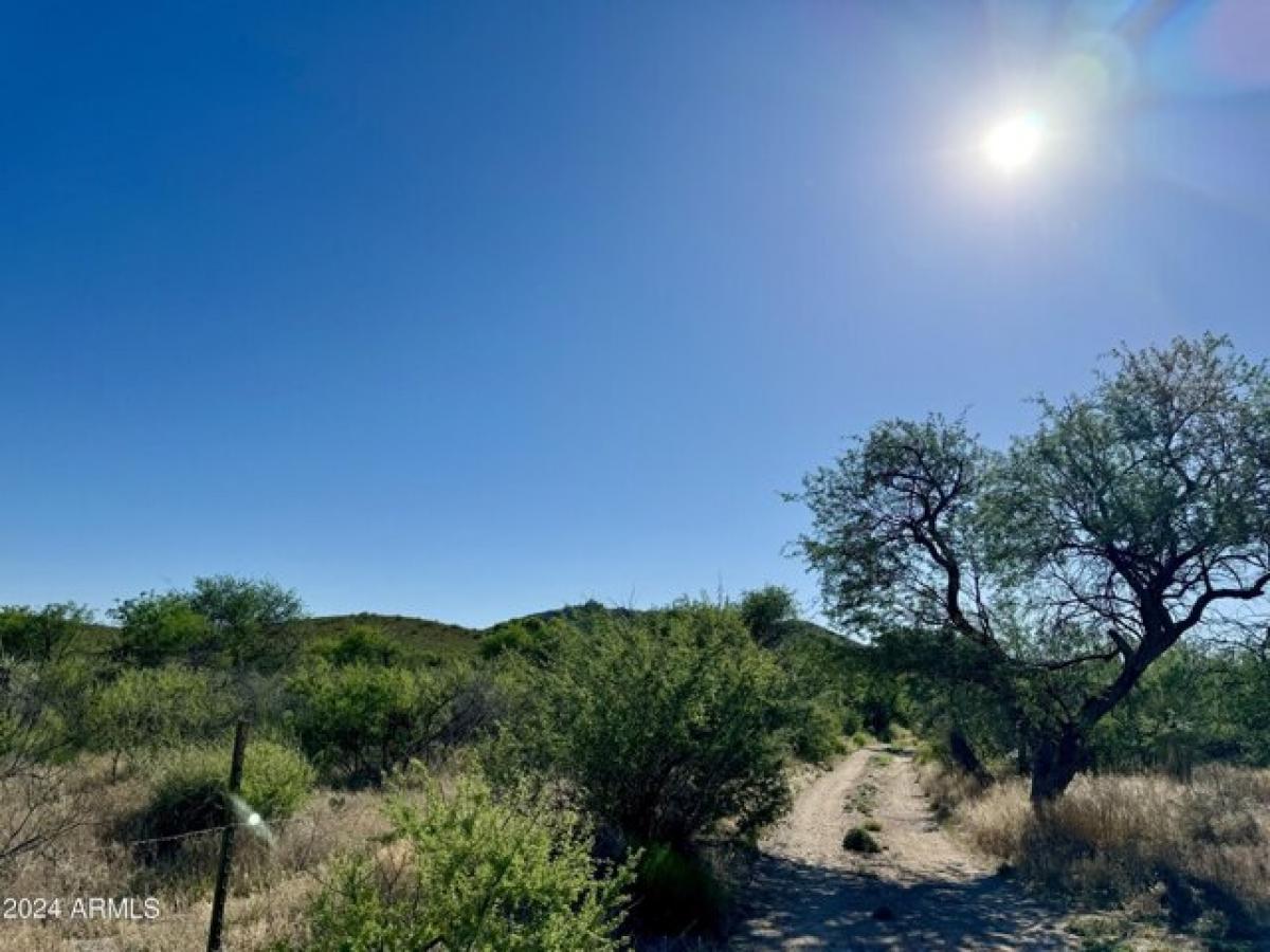 Picture of Residential Land For Sale in Vail, Arizona, United States