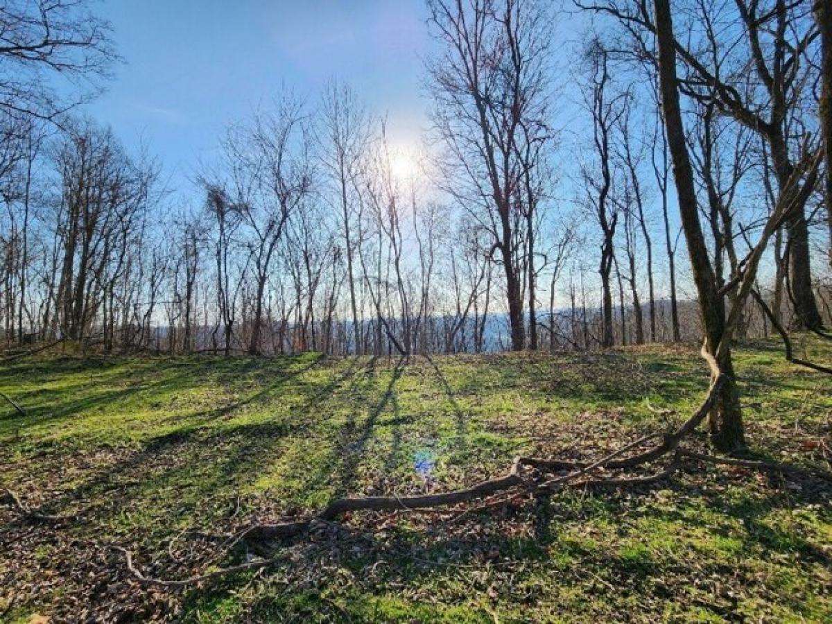 Picture of Residential Land For Sale in Buffalo Valley, Tennessee, United States