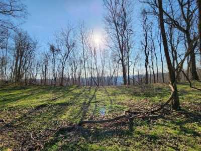 Residential Land For Sale in Buffalo Valley, Tennessee