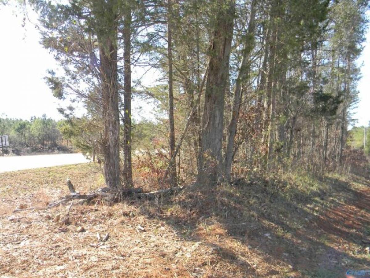 Picture of Residential Land For Sale in Gaylesville, Alabama, United States