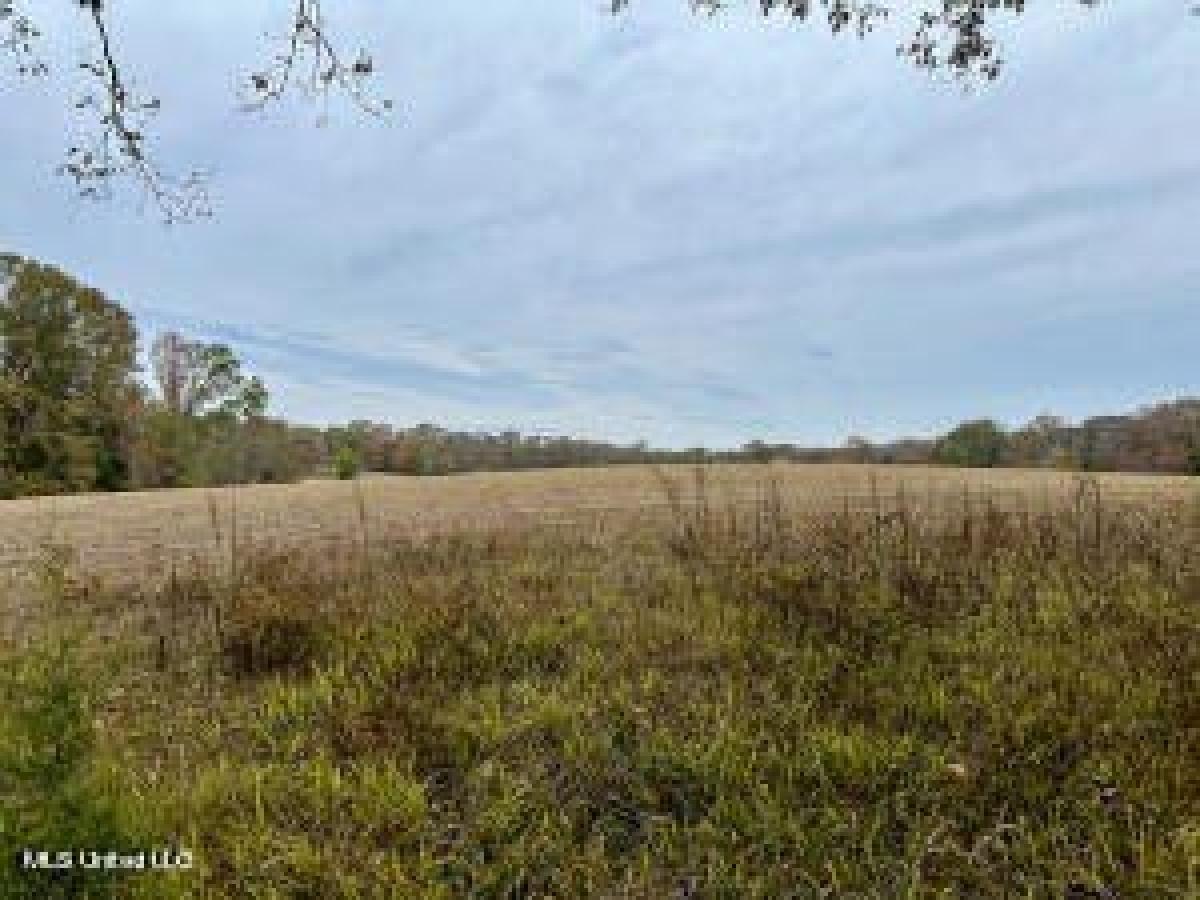 Picture of Residential Land For Sale in Clinton, Mississippi, United States