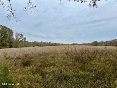 Residential Land For Sale in 