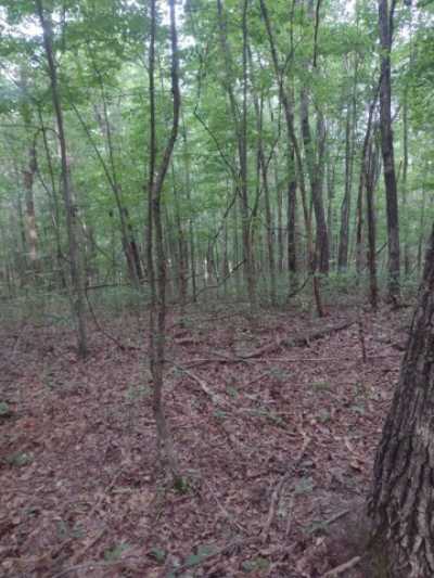 Residential Land For Sale in Gruetli Laager, Tennessee