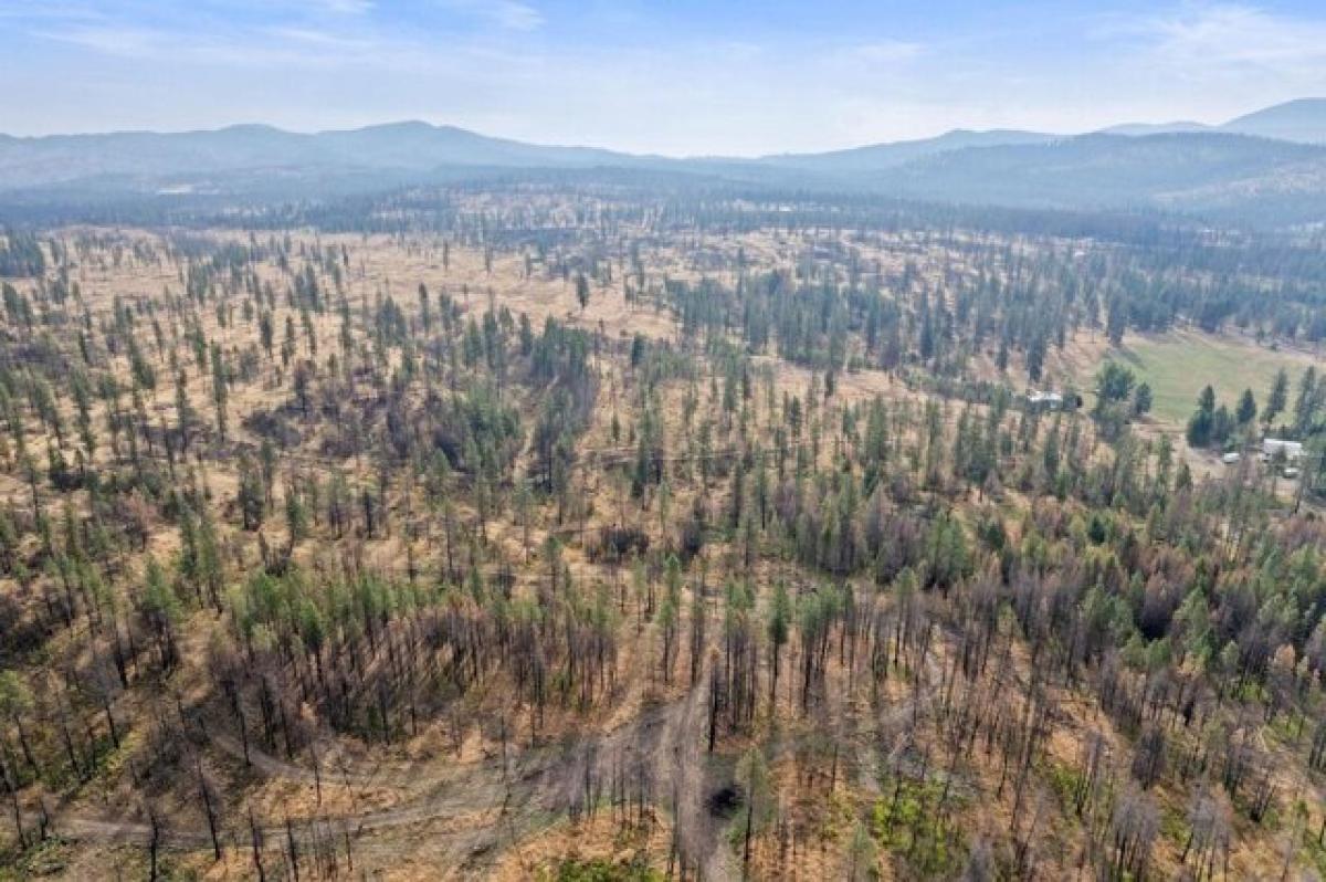 Picture of Residential Land For Sale in Elk, Washington, United States