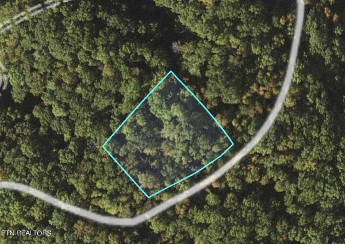 Picture of Residential Land For Sale in Cosby, Tennessee, United States