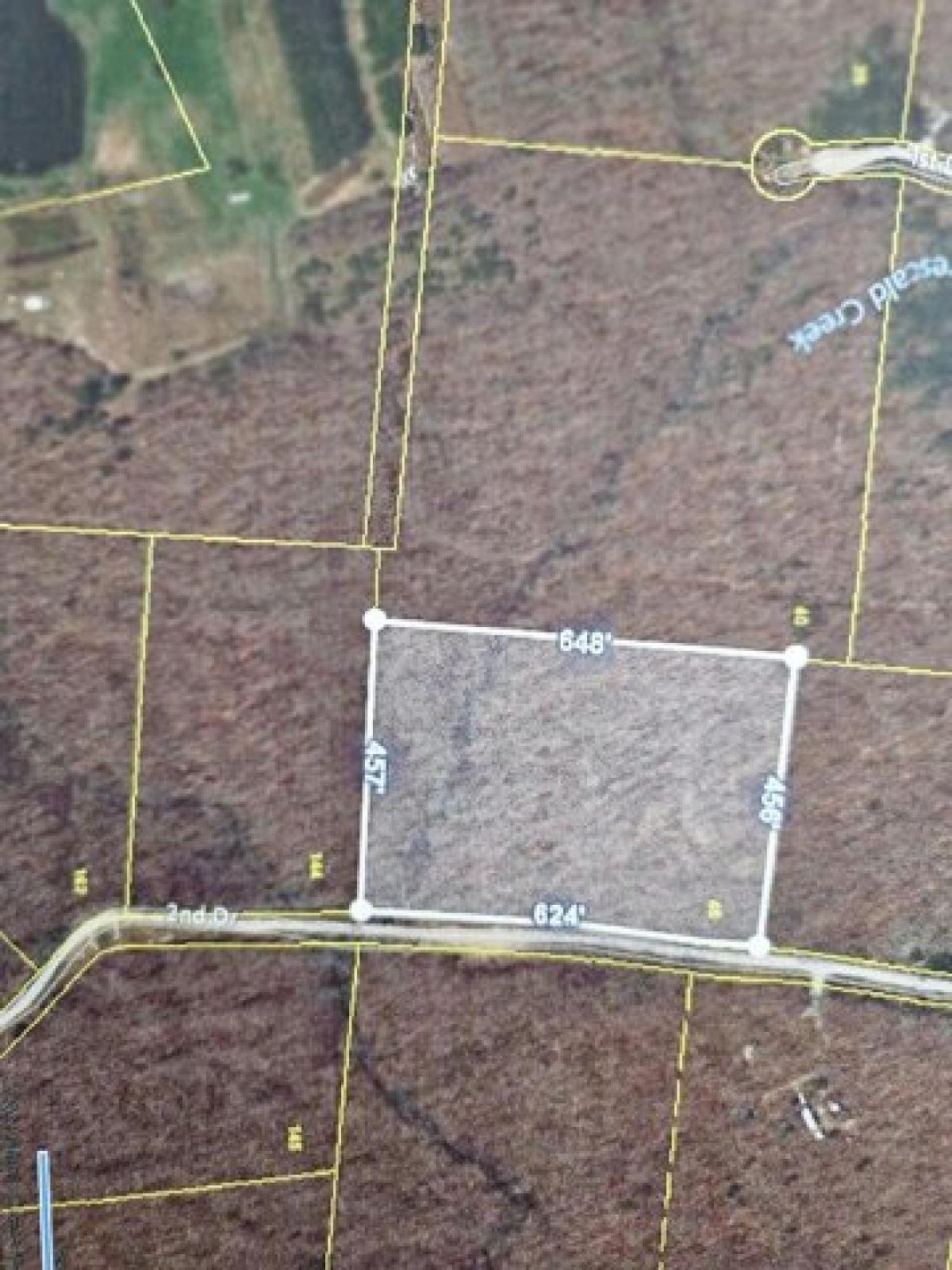 Picture of Residential Land For Sale in Altamont, Tennessee, United States