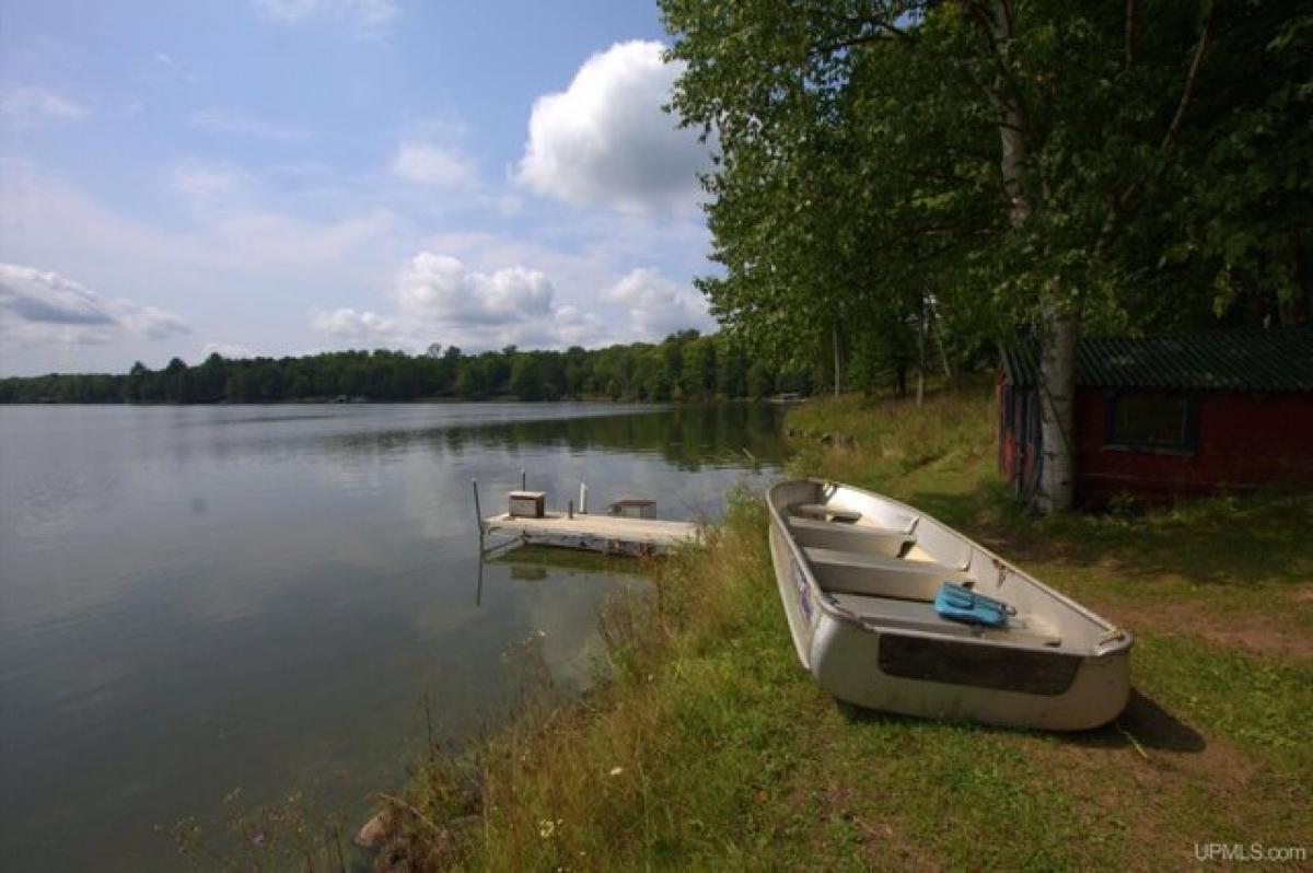 Picture of Home For Sale in Watersmeet, Michigan, United States