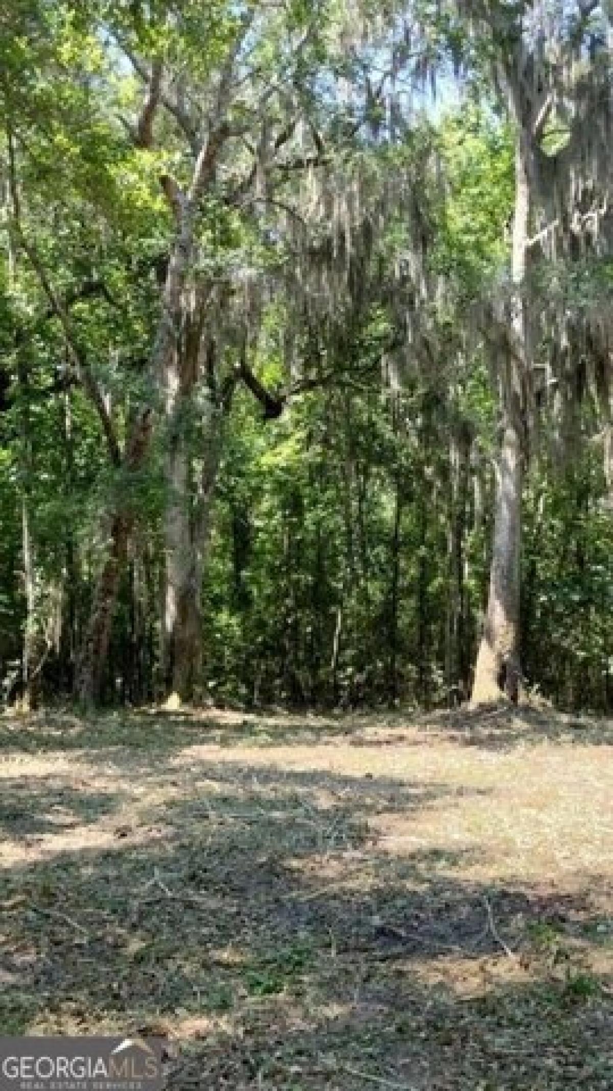 Picture of Residential Land For Sale in Townsend, Georgia, United States