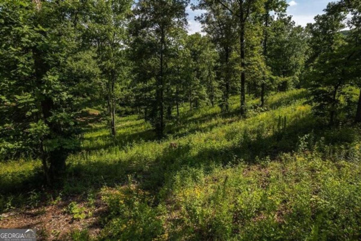 Picture of Residential Land For Sale in Blue Ridge, Georgia, United States