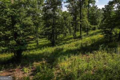 Residential Land For Sale in Blue Ridge, Georgia