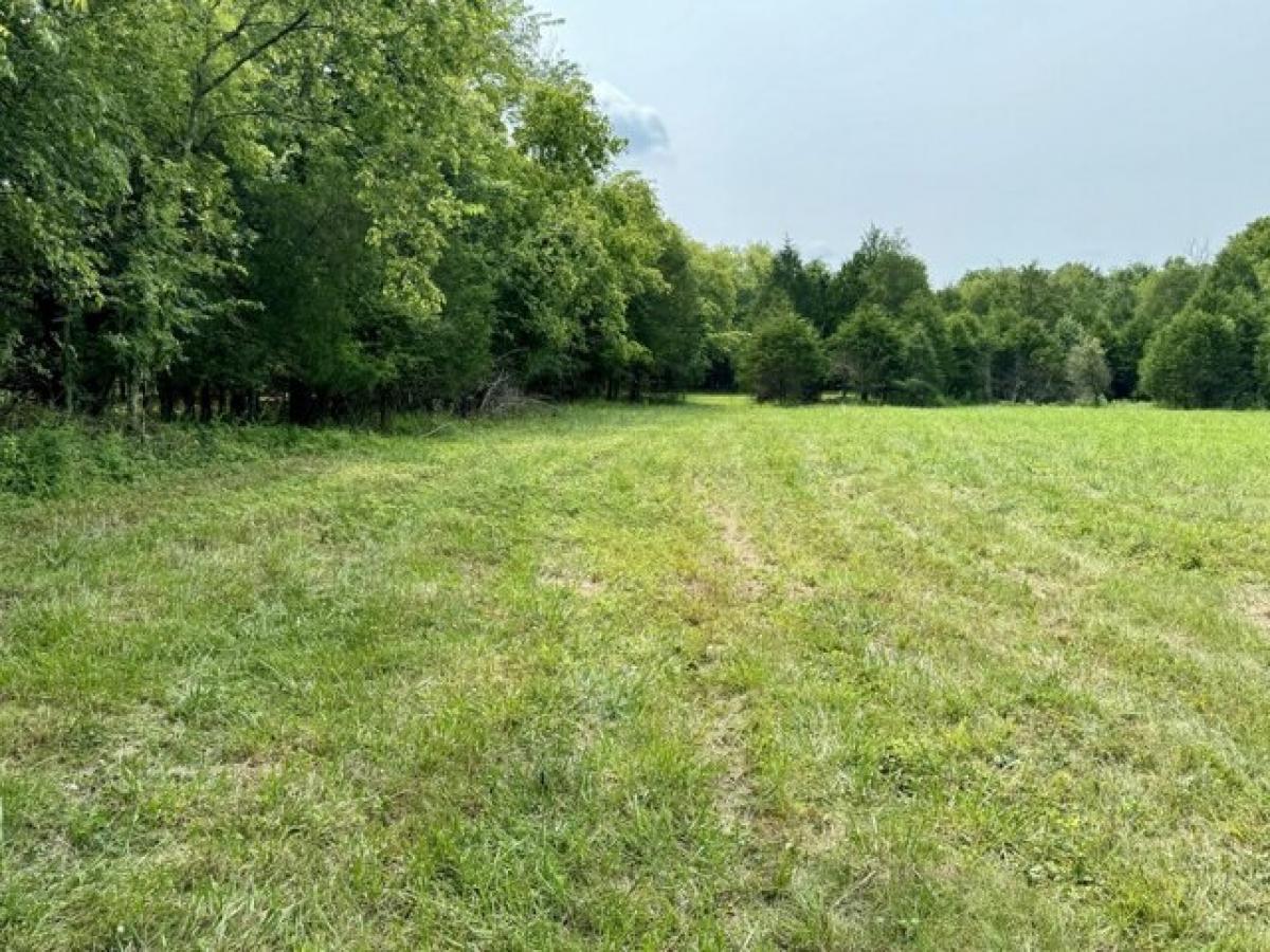 Picture of Residential Land For Sale in Castalian Springs, Tennessee, United States