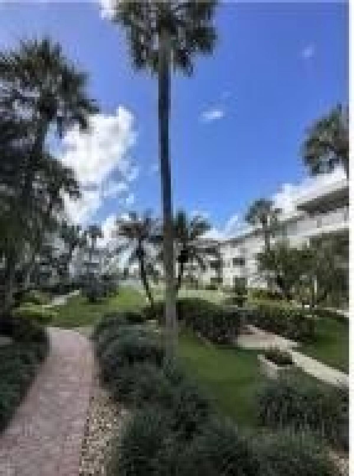 Picture of Home For Rent in Hillsboro Beach, Florida, United States