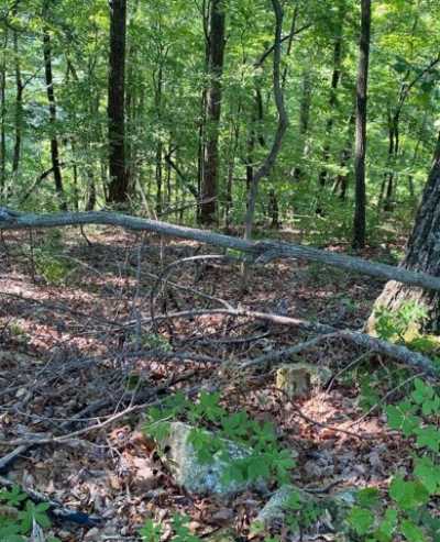 Residential Land For Rent in Smithville, Tennessee