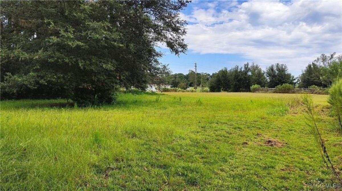 Picture of Residential Land For Sale in Floral City, Florida, United States