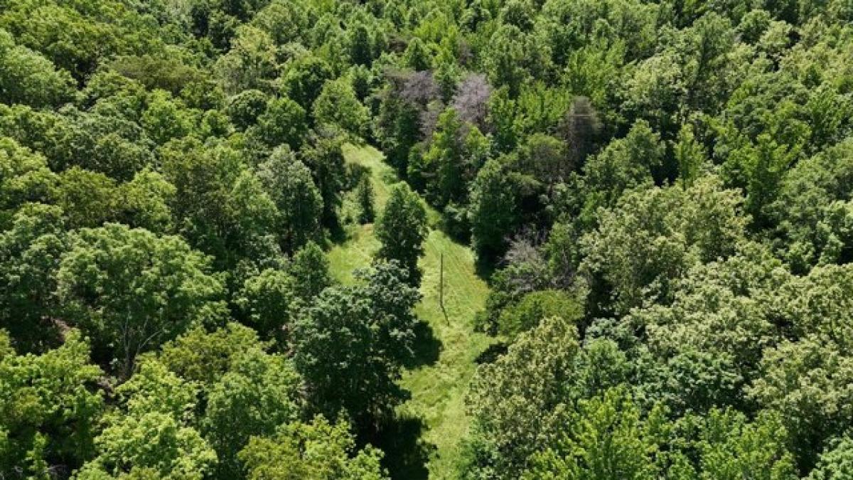 Picture of Residential Land For Sale in Waverly, Tennessee, United States