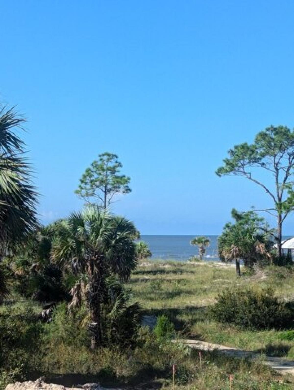 Picture of Residential Land For Sale in Port Saint Joe, Florida, United States